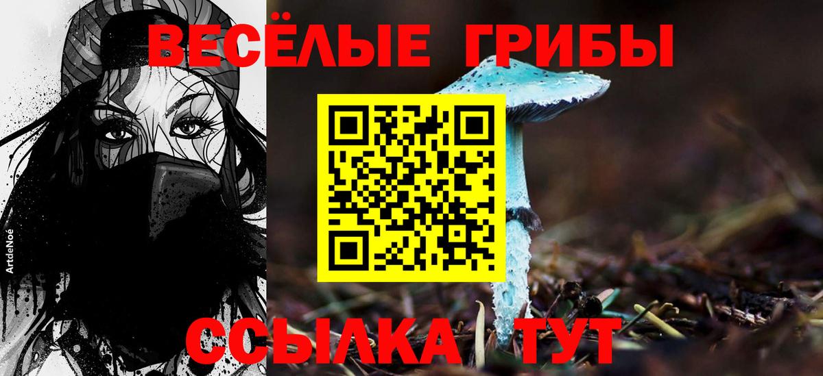 Галлюциногенные грибы Magic Shrooms  Псилоцибиновые грибы Psilocybe  Вход с VPN  Донецк 